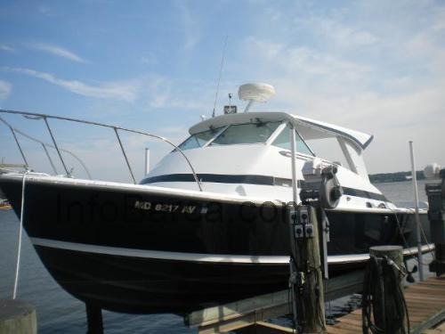 Bertram 31 Bahia Mar scheda tecnica e recensioni